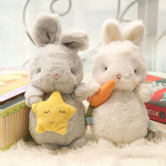 Cute Fluffy Bunny rabbit plushies