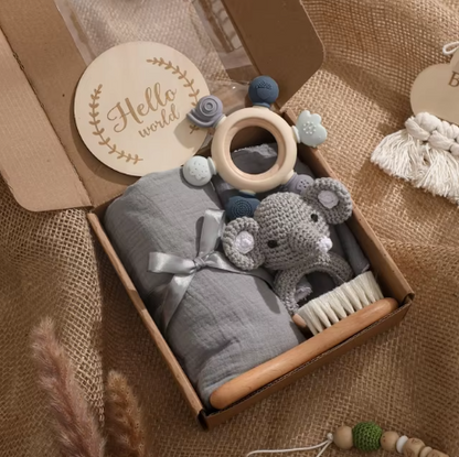 Baby Toy set gift box